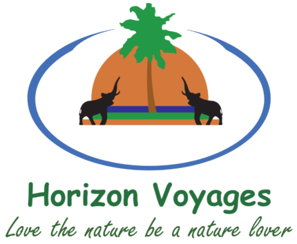 cropped-Horizon-Voyages_20240706_091126_0000.png